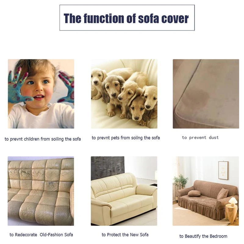 product-800-800 product-800-800